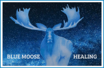 Blue Moose Healing