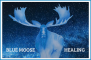 Blue Moose Healing